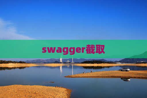 swagger截取